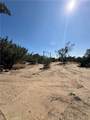 15872 Muscatel - Photo 44