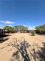 15872 Muscatel - Photo 45