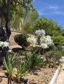 1154 Monte Vista Dr - Photo 8