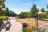 32069 Meadow Wood - Photo 36