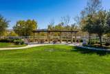 23821 Via Campana - Photo 58