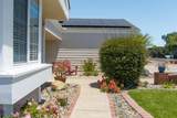 941 Pellham - Photo 70