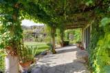 7263 Via Mariposa Sur - Photo 17