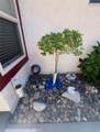 4881 Tarragon - Photo 27