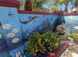 4881 Tarragon - Photo 28