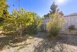 35109 Highway 79 - Photo 32