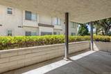 966 Lupine Hills Drive - Photo 35