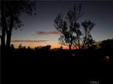 33900 Andy - Photo 42