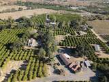 1 Rincon Springs - Photo 1