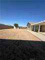 13782 Lobelia - Photo 21