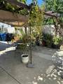 14325 Martha Street - Photo 18
