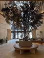1100 Wilshire - Photo 4