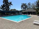32954 Paseo Del Lucero - Photo 55