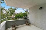 22422 Caminito Tecate - Photo 14