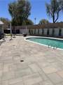 43815 Marigold - Photo 8