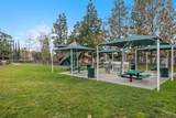 22481 Ivy Ridge - Photo 50