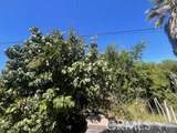 17288 Mcallister Parkway - Photo 39