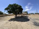 37224 105th Street - Photo 13
