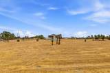 11251 Nevada Road - Photo 28
