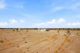 1825 Saragota Road - Photo 34