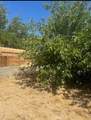 17821 Longmeadow - Photo 13