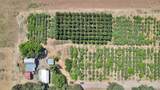 1934 Biggs Gridley - Photo 25