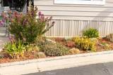 35218 Fir - Photo 23