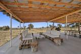 58778 Sunny Sands Drive - Photo 42