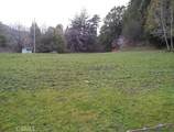 203 Pine Lane - Photo 5