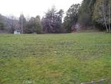 203 Pine Lane - Photo 6