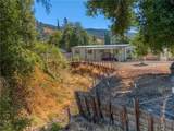 4434 Bush - Photo 49