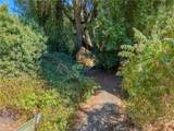 4434 Bush - Photo 52
