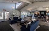 6550 Ponto Dr - Photo 37