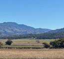 18266 Caliente Creek Road - Photo 14