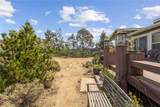 47112 Woodcliff Drive - Photo 42