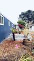 17900 Ocean - Photo 25