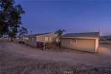 34715 Empty Saddle - Photo 43