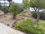 24721 Pitchfork - Photo 3