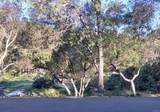 4747 Oak Crest Road - Photo 45