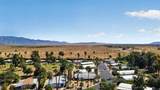 1010 Palm Canyon Dr #333 - Photo 47