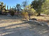 12435 Mountain - Photo 7