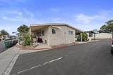 3340 Del Sol - Photo 19