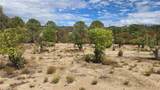 59441 Burnt Valley Road - Photo 6
