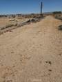 47722 Kiloran Street - Photo 4