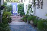 185 Eucalyptus - Photo 23