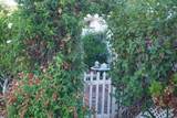 185 Eucalyptus - Photo 27