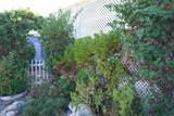 185 Eucalyptus - Photo 29