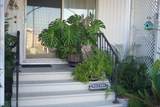 185 Eucalyptus - Photo 31