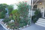 185 Eucalyptus - Photo 33