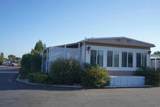 185 Eucalyptus - Photo 36